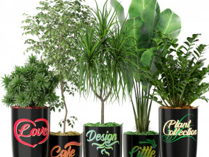 Коллекция растений 376 3D Модель