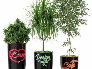Plants collection 376 Modelo 3D