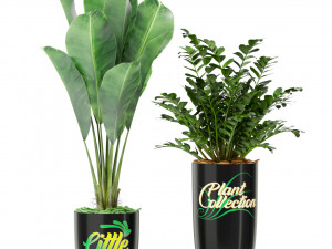 Plants collection 376 Modelo 3D