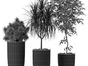 Plants collection 376 Modelo 3D