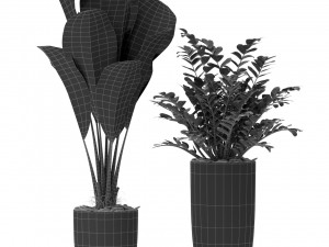 Plants collection 376 Modelo 3D