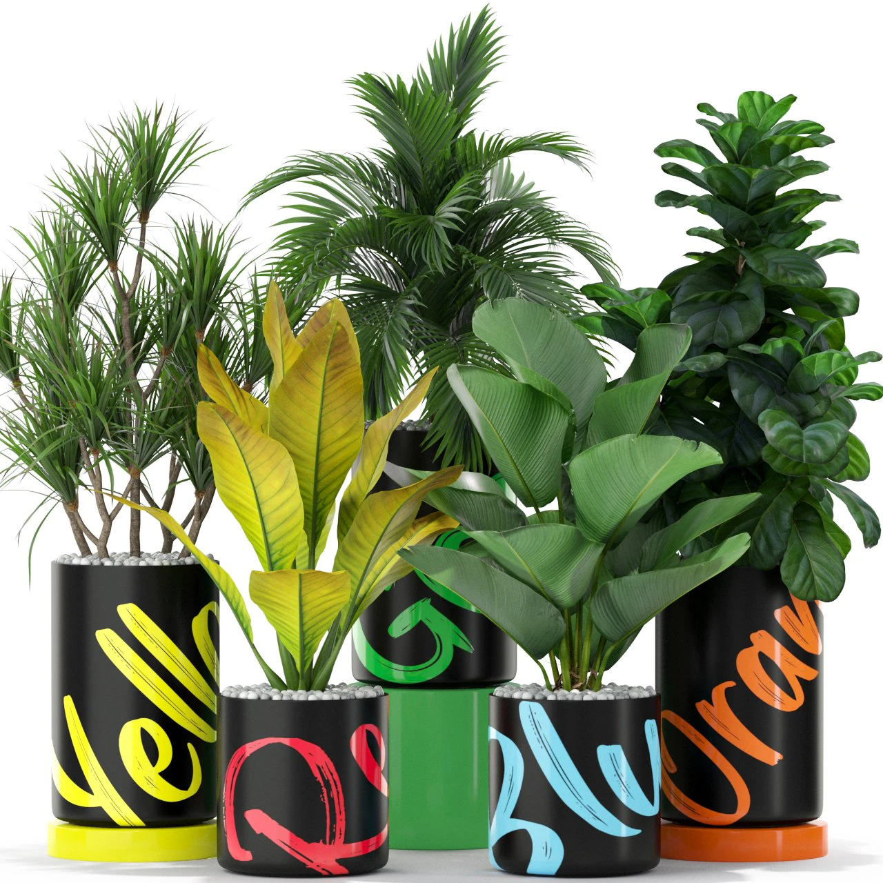 Plants collection 377 3D Model .c4d .max .obj .3ds .fbx .stl .blend 