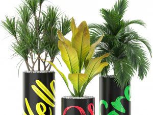 Plants collection 377 3D Model