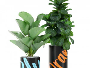 Plants collection 377 3D Model