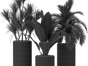 Plants collection 377 3D Model