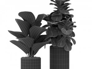 Plants collection 377 3D Model