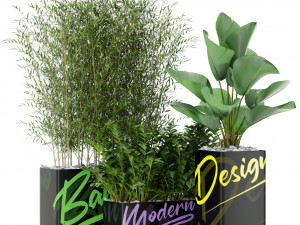 Plants collection 378 3D Модель