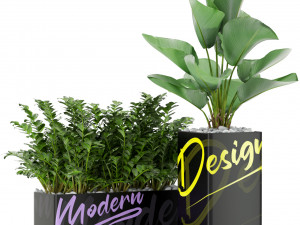 Plants collection 378 3D मॉडल