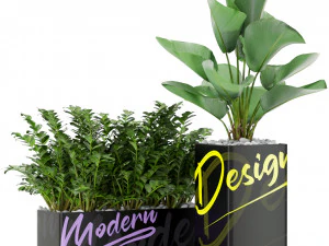 Kolekcja roślin 378 Model 3D