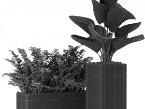 Kolekcja roślin 378 Model 3D