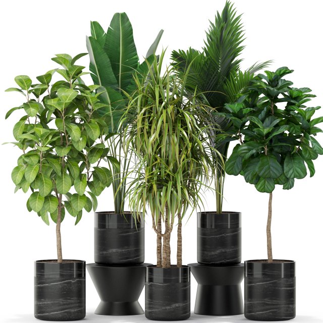 Plants collection 379 Modelo 3D .c4d .max .obj .3ds .fbx .stl .blend