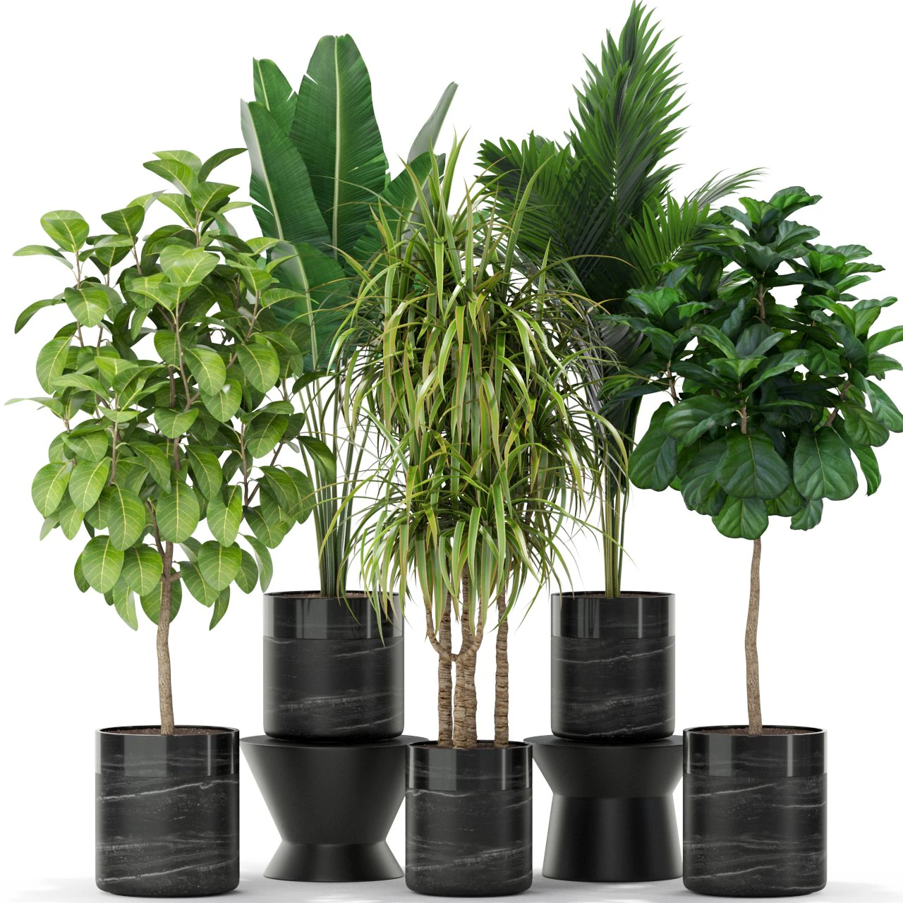 Plants collection 379 3D Model .c4d .max .obj .3ds .fbx .stl .blend 