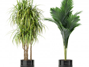Plants collection 379 Modelo 3D