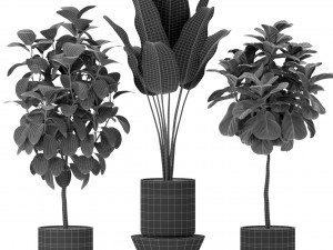 Plants collection 379 Modelo 3D