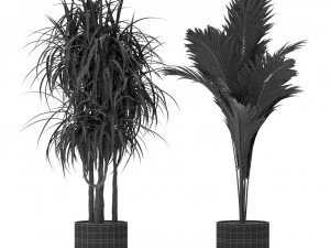 Plants collection 379 3D Model