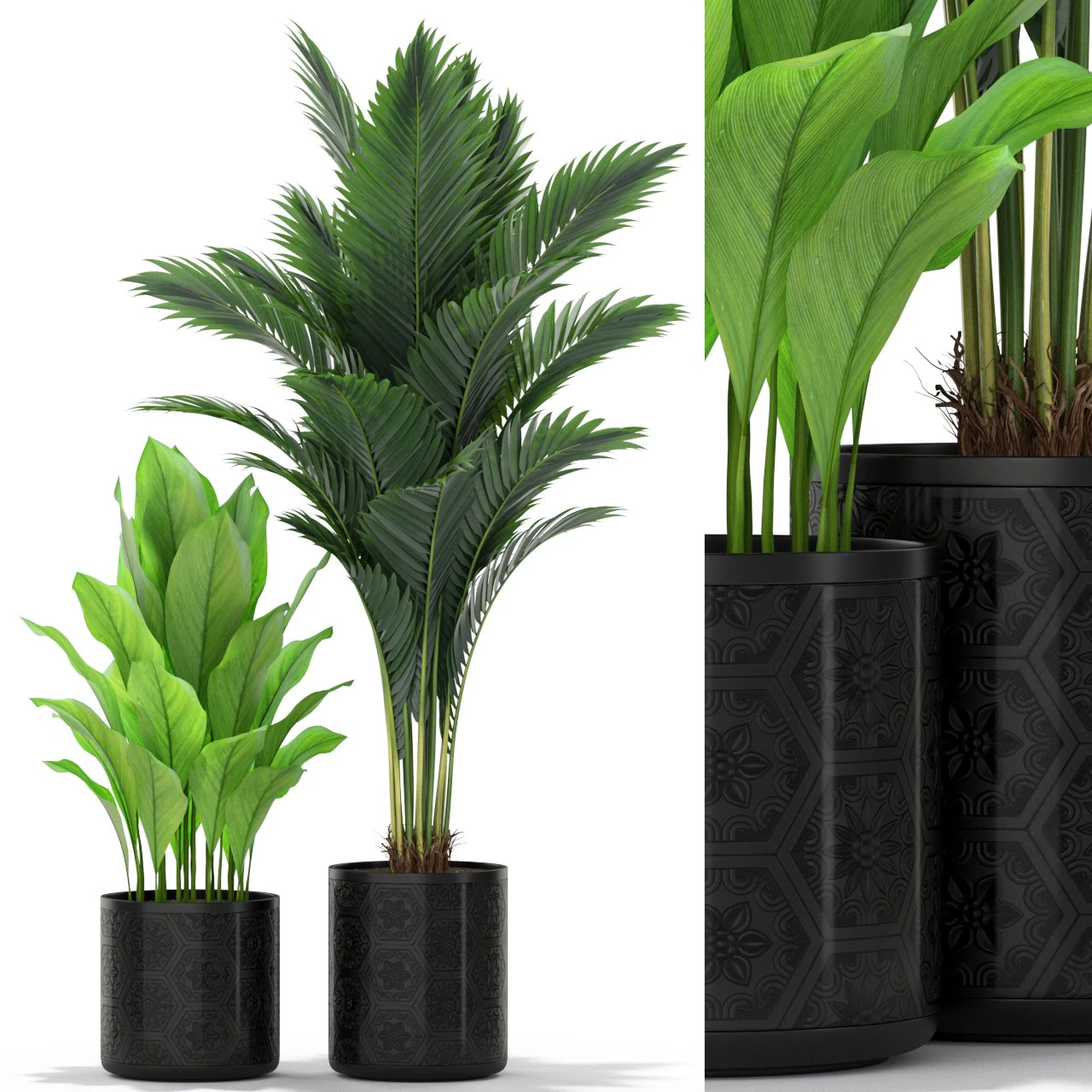 Plants collection 380 3D Model .c4d .max .obj .3ds .fbx .stl .blend 