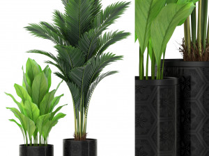 Plants collection 380 3D Model