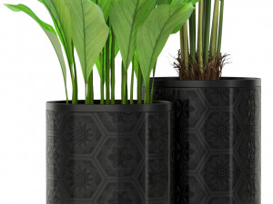 Plants collection 380 3D Model