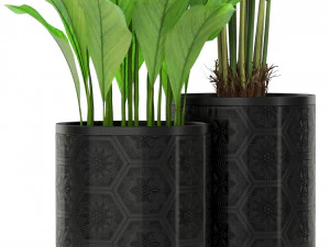 Plants collection 380 3D Model