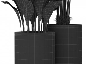 Plants collection 380 3D Model