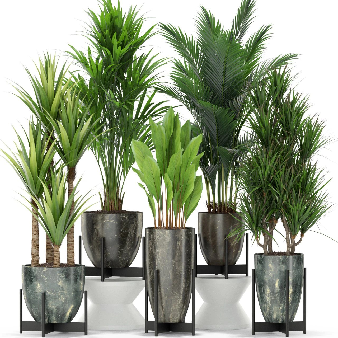 Plants collection 381 3D Model .c4d .max .obj .3ds .fbx .stl .blend