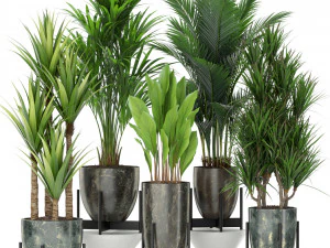 पौधों का संग्रह 381 3D मॉडल