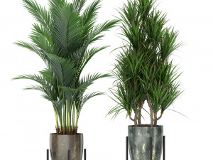 Plants collection 381 3Dモデル