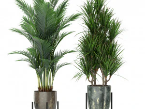 Plants collection 381 3D Model