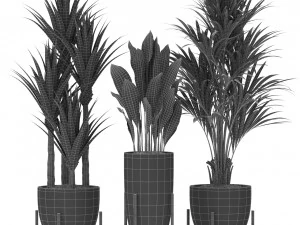 Plants collection 381 3D Model