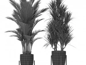 Plants collection 381 3D Model