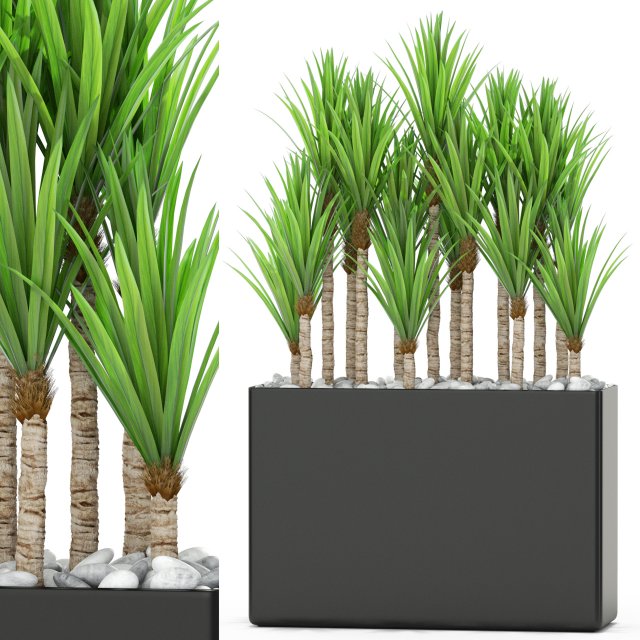 Plants collection 382 Modelo 3D .c4d .max .obj .3ds .fbx .stl .blend 