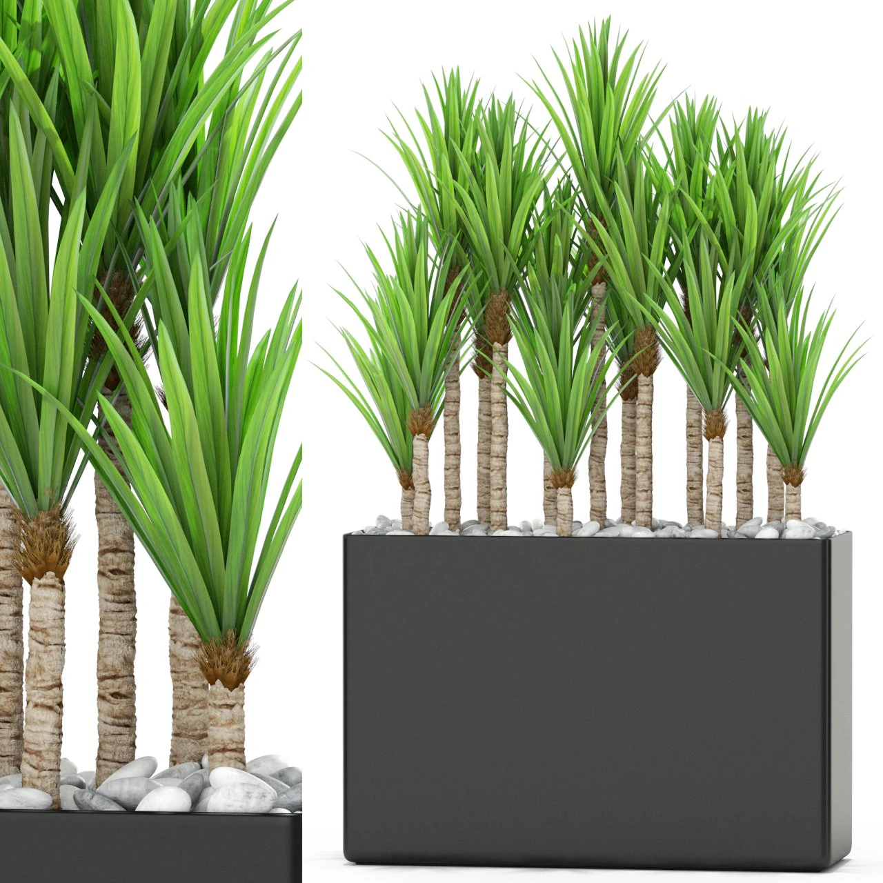 Plants collection 382 3D Model .c4d .max .obj .3ds .fbx .stl .blend 