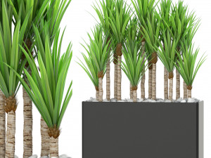 Plants collection 382 3Dモデル