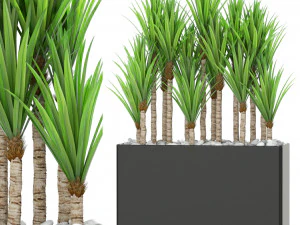 Plants collection 382 3D Model