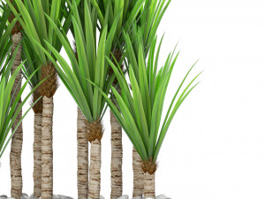 Plants collection 382 Modelo 3D