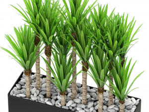 Plants collection 382 Modelo 3D