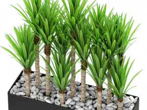 Plants collection 382 3D Model