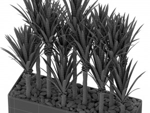 Plants collection 382 Modelo 3D