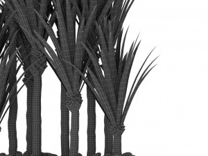 Plants collection 382 Modelo 3D