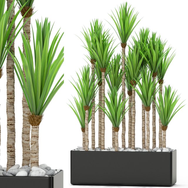Plants collection 383 3D 模型 .c4d .max .obj .3ds .fbx .stl .blend 