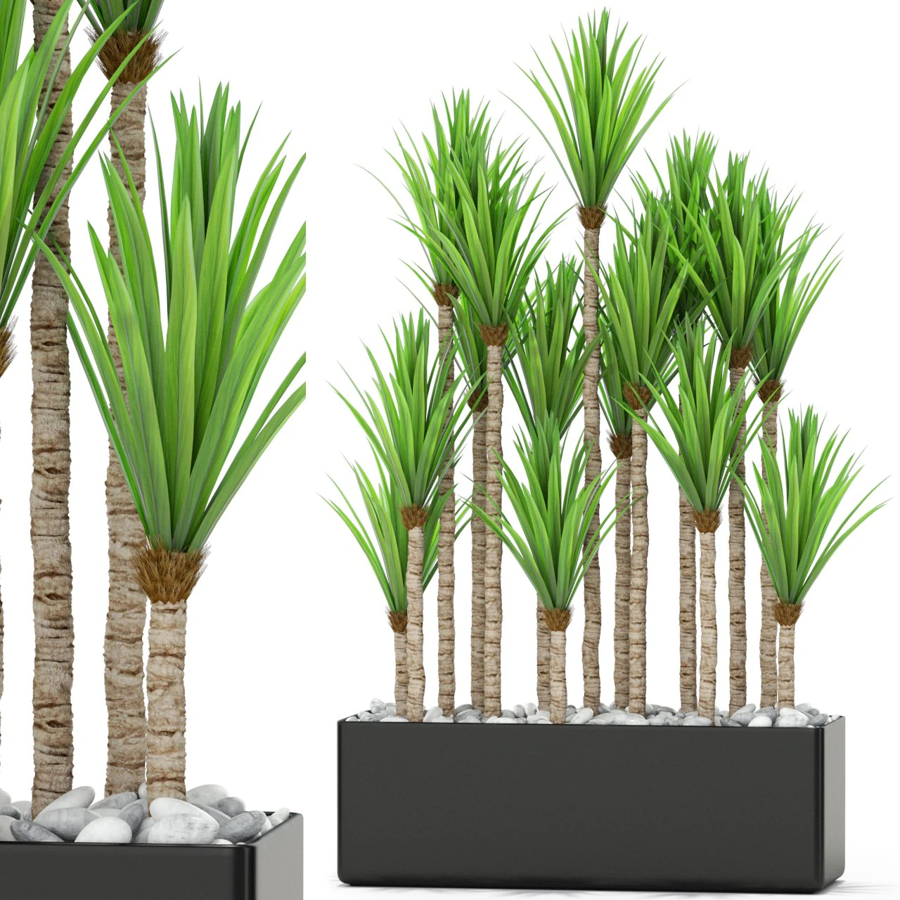 Plants collection 383 3D Model .c4d .max .obj .3ds .fbx .stl .blend