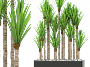 Plants collection 383 3D-Modell