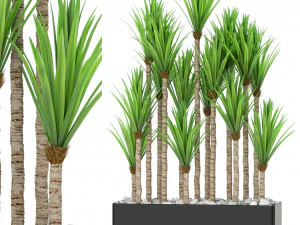 Plants collection 383 3D Model
