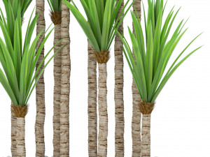 Plants collection 383 3D 模型
