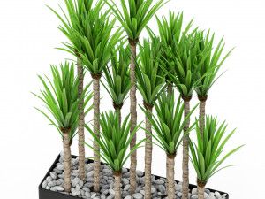 Plants collection 383 3D 模型