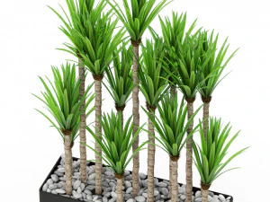 Plants collection 383 3D Model