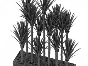 Plants collection 383 3D Model