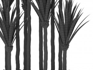 Plants collection 383 3D 模型