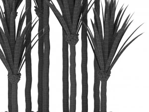 Plants collection 383 3D Model