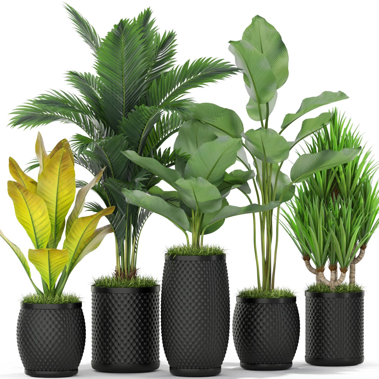 Bitki koleksiyonu 384 3D Model .c4d .max .obj .3ds .fbx .stl .blend 